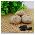 Fermented Garlic Black Garlic Extract